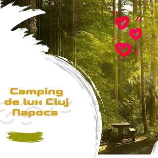 Кемпинги Camping de lux Cluj Napoca Muntele Săcelului-7
